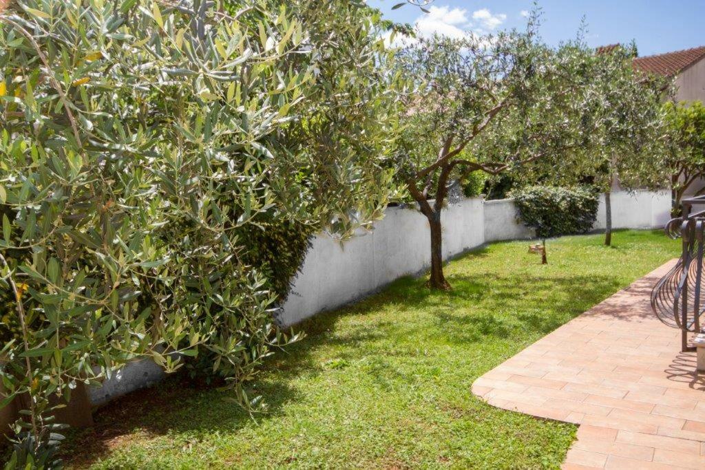Villa Sveta Eufemija - Bed And Breakfast โรวีน ภายนอก รูปภาพ